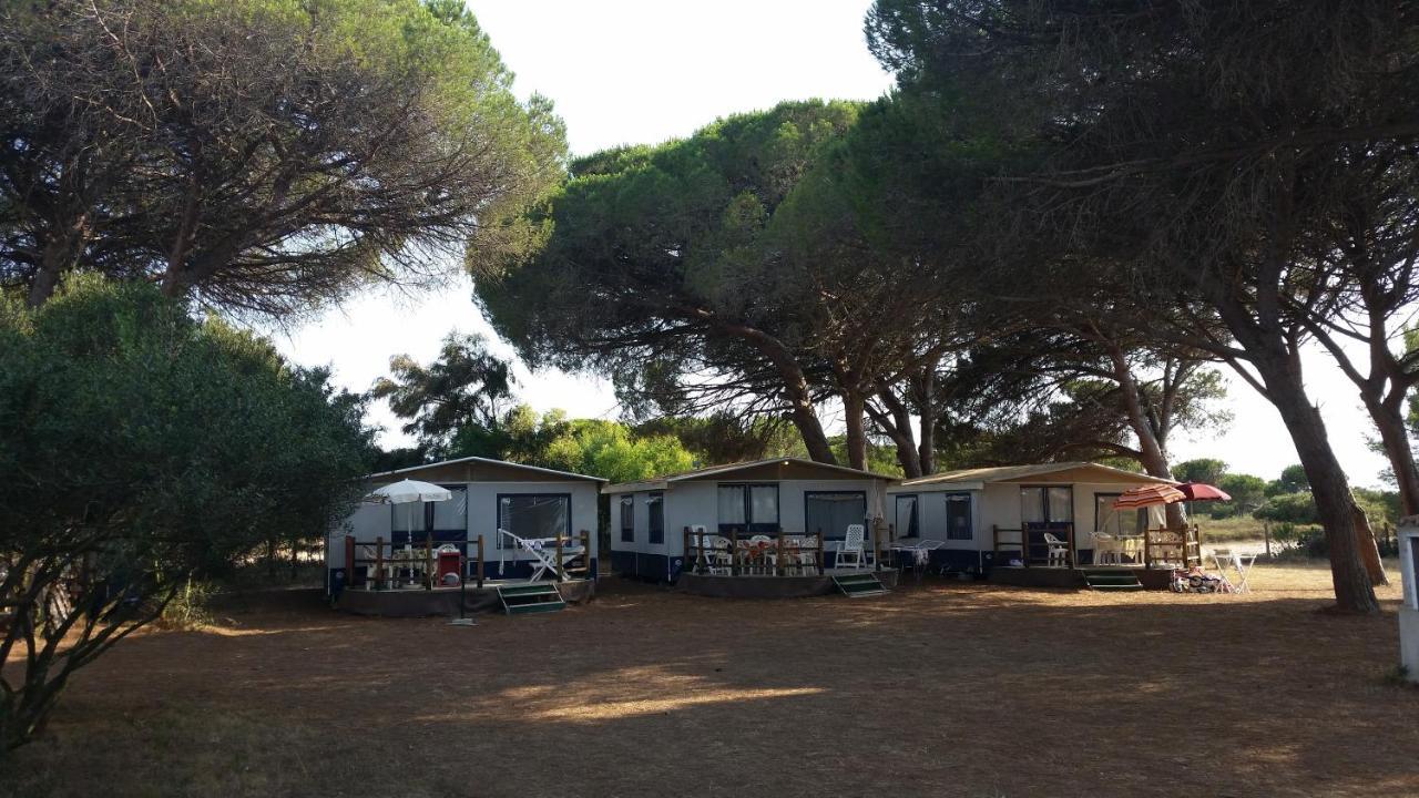 Camping Village S'Ena Arrubia Arborea Exteriör bild
