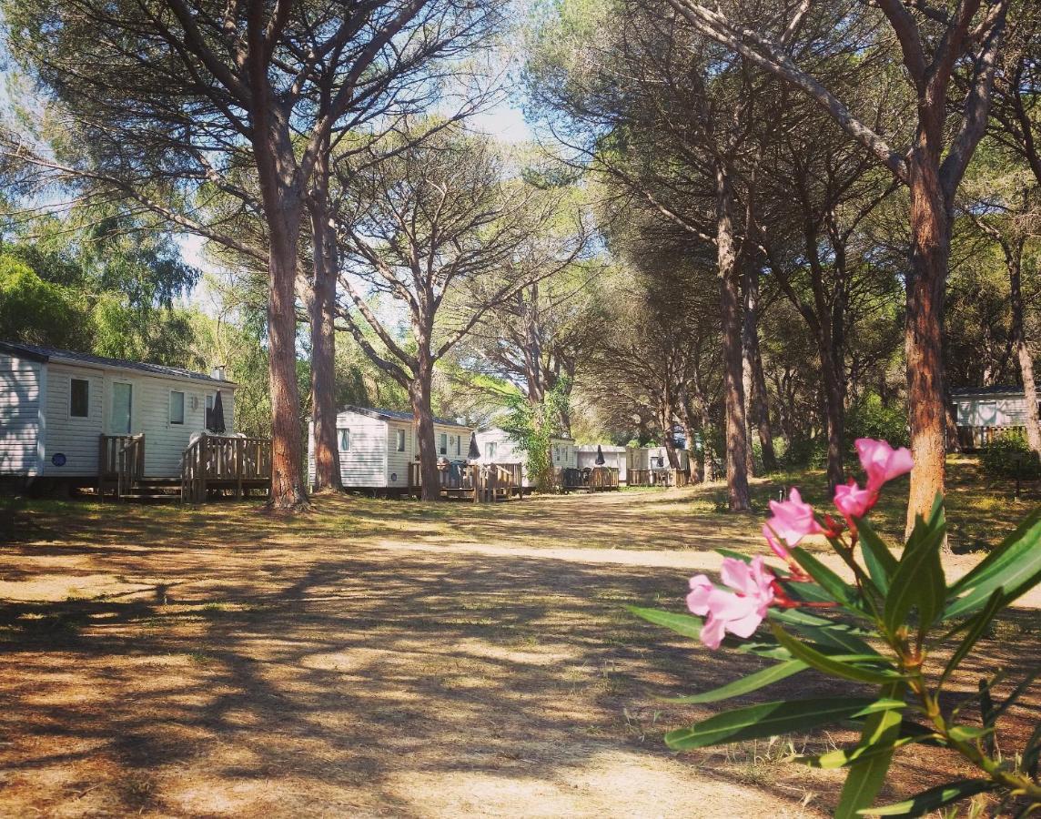 Camping Village S'Ena Arrubia Arborea Exteriör bild
