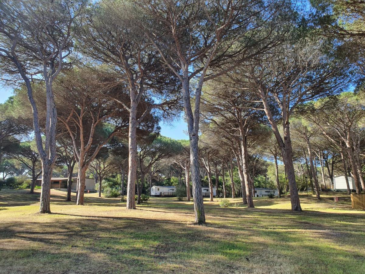 Camping Village S'Ena Arrubia Arborea Exteriör bild