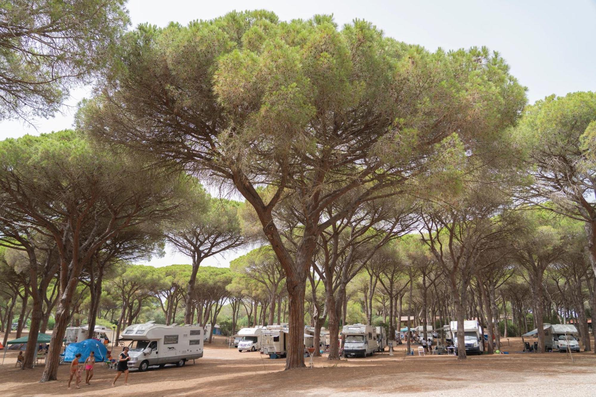 Camping Village S'Ena Arrubia Arborea Exteriör bild