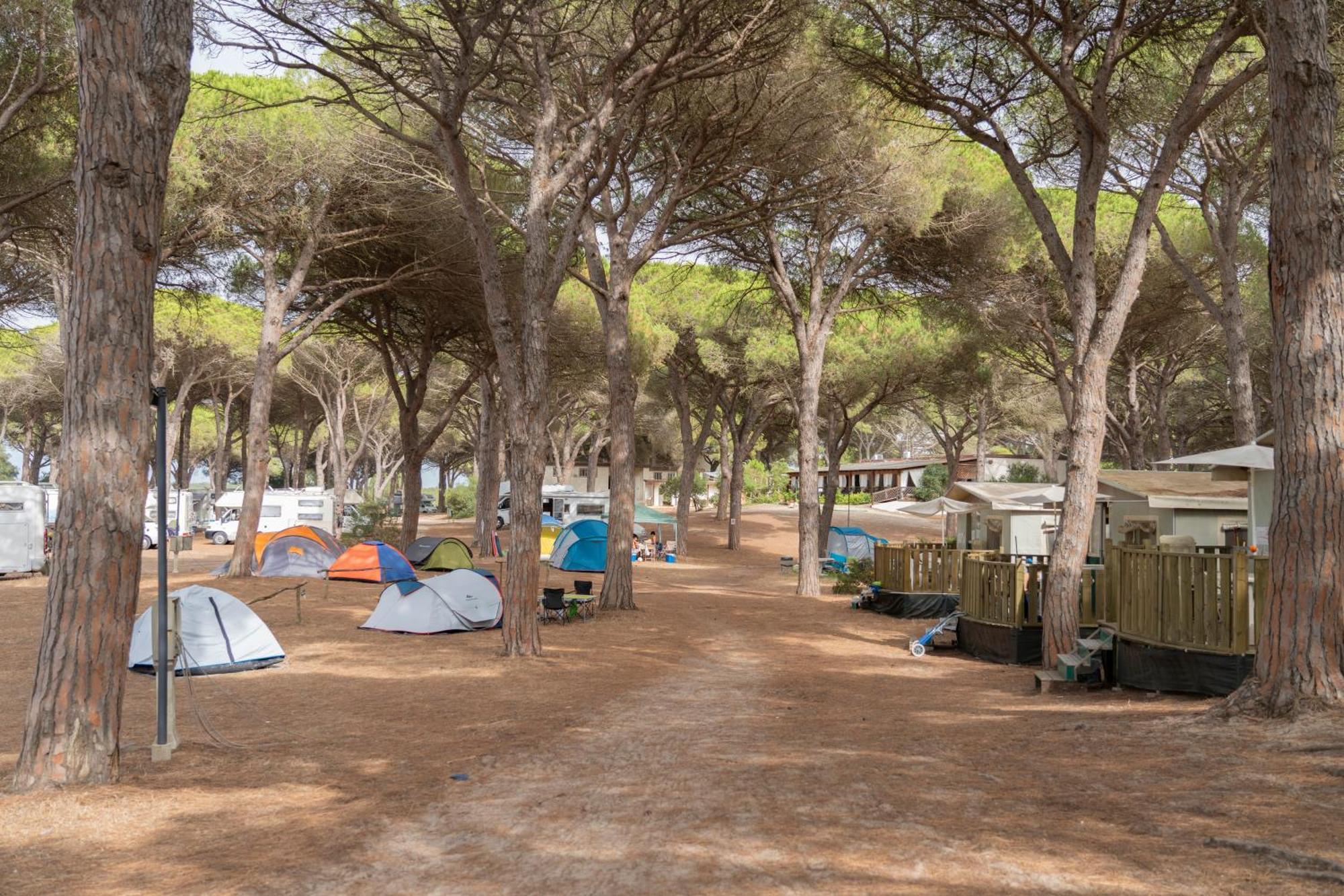 Camping Village S'Ena Arrubia Arborea Exteriör bild